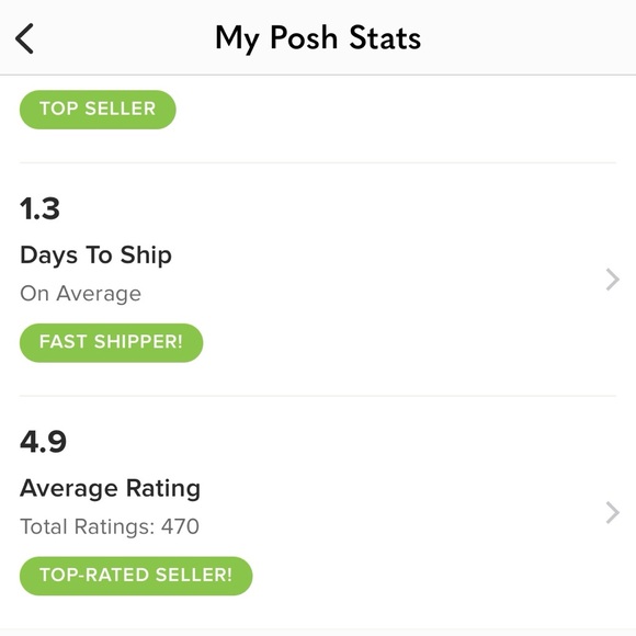 NWOT Multipurpose Necklace, Waist Chain, Handbag Chain - Picture 14 of 15